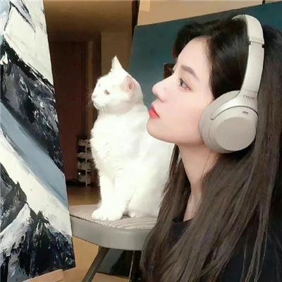 金的战争