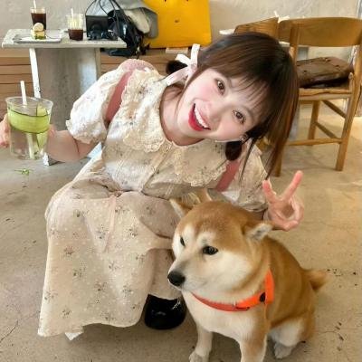 就爱你的谎